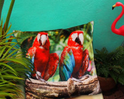 Decorative Cushions
